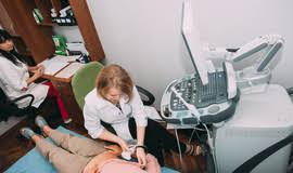 Що робити при укусі змії і як вберегтися від цього